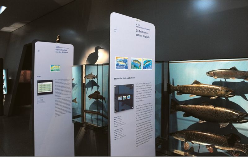Liechtensteinisches Landesmuseum 2013